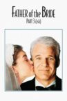 Father of the Bride Part 3 (ish) Movie Streaming Online