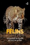 Félins Movie Streaming Online