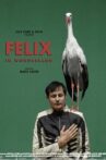 Felix in Wonderland Movie Streaming Online