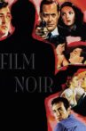 Film Noir: Bringing Darkness to Light Movie Streaming Online