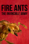 Fire Ants 3D: The Invincible Army Movie Streaming Online