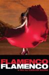 Flamenco Flamenco Movie Streaming Online
