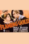 Flaming Gold Movie Streaming Online