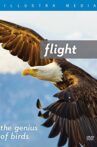 Flight: The Genius of Birds Movie Streaming Online
