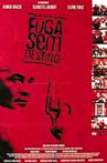Fuga Sem Destino Movie Streaming Online