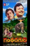Gandhada Gudi Movie Streaming Online