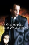 Good Evening, Mr. Wallenberg Movie Streaming Online