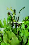 Grandmother Movie Streaming Online