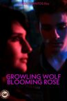Growling Wolf, Blooming Rose Movie Streaming Online