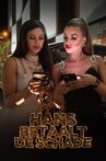 Hans betaalt de schade Movie Streaming Online