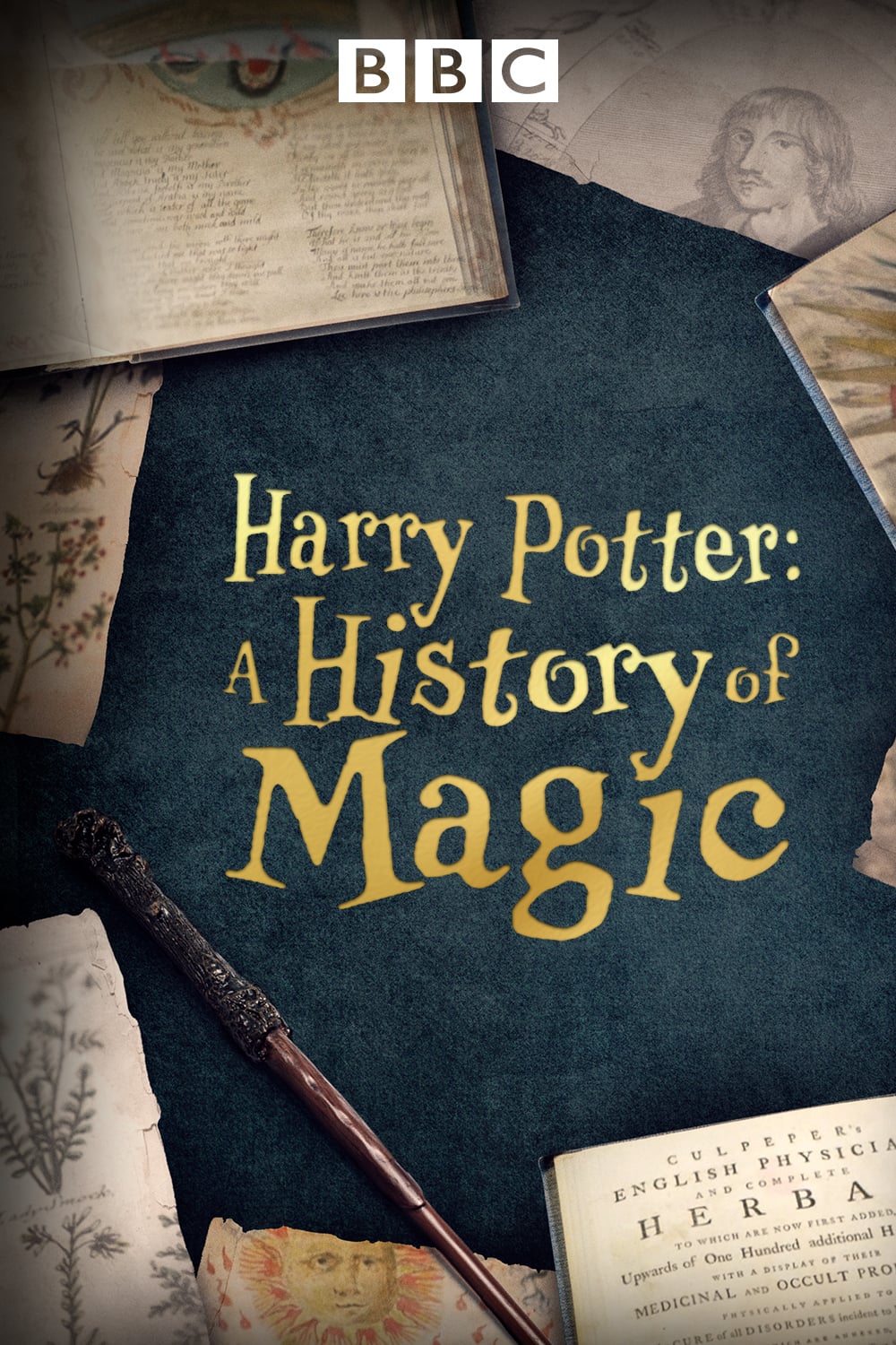 Harry Potter Aux Origines De La Magie Streaming Harry Potter: A History Of Magic Spanish Movie Streaming Online Watch