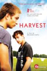 Harvest Movie Streaming Online