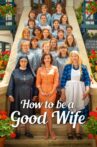 How to Be a Good Wife Movie Streaming Online