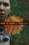 How to Grow a Tiger Lily Movie Streaming Online
