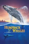 Humpback Whales Movie Streaming Online