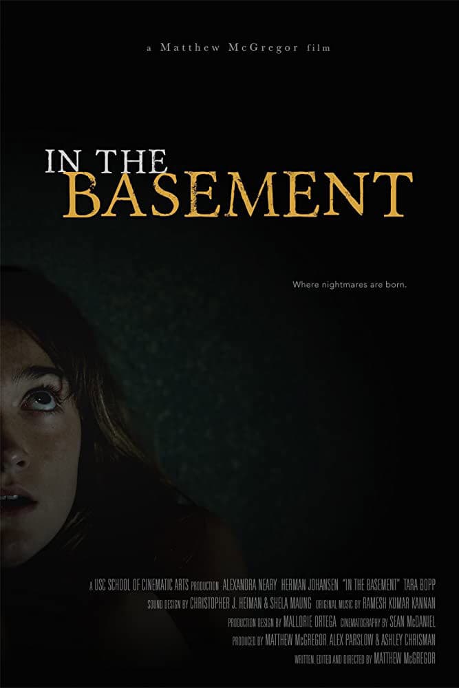 In the Basement Movie Streaming Online Watch