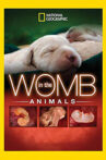 In The Womb: Animals Movie Streaming Online