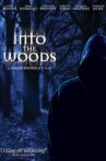 Into the Woods Movie Streaming Online
