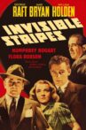 Invisible Stripes Movie Streaming Online