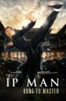 Ip Man: Kung Fu Master Movie Streaming Online
