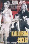 Kaldırım Çiçeği Movie Streaming Online