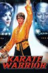 Karate Warrior Movie Streaming Online