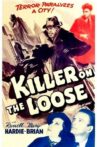 Killer at Large Movie Streaming Online