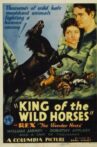King of the Wild Horses Movie Streaming Online