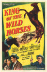 King of the Wild Horses Movie Streaming Online
