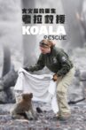 Koala Rescue Movie Streaming Online