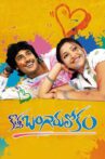 Kotha Bangaru Lokam Movie Streaming Online