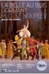 La Belle au bois dormant Movie Streaming Online