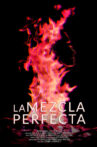 La mezcla perfecta Movie Streaming Online