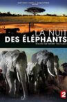 La nuit des éléphants Movie Streaming Online
