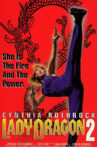 Lady Dragon 2 Movie Streaming Online