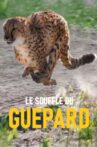 Le souffle du guépard Movie Streaming Online