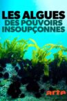 Les algues : Des pouvoirs insoupçonnés Movie Streaming Online