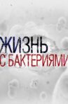 Life With Bacteria Movie Streaming Online
