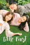 Little Forest Movie Streaming Online