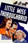 Little Miss Thoroughbred Movie Streaming Online