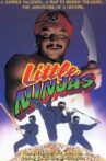 Little Ninjas Movie Streaming Online
