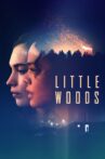 Little Woods Movie Streaming Online