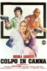 Loaded Guns Movie Streaming Online