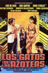 Los gatos de las azoteas Movie Streaming Online