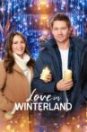 Love in Winterland Movie Streaming Online