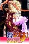 Magister Negi Magi: Anime Final Movie Streaming Online