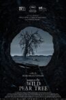 Making of the Wild Pear Tree Movie Streaming Online