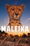 Maleika Movie Streaming Online