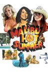 Malibu Hot Summer Movie Streaming Online