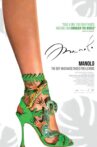 Manolo: The Boy Who Made Shoes for Lizards Movie Streaming Online